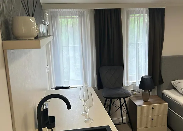 アパート Face 3 Center スボティツァ